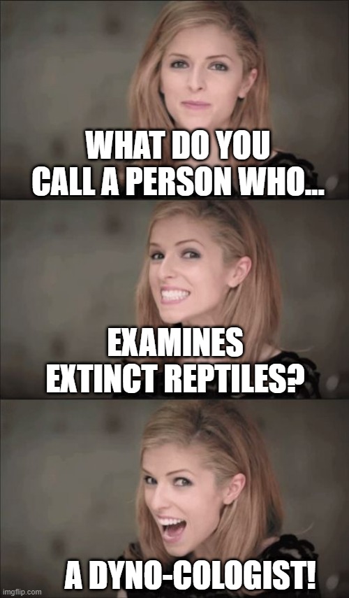 It's Bad, You Know 7 |  WHAT DO YOU CALL A PERSON WHO... EXAMINES EXTINCT REPTILES? A DYNO-COLOGIST! | image tagged in memes,bad pun anna kendrick,bad puns,humor,lol so funny,funny memes | made w/ Imgflip meme maker