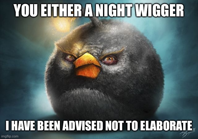 angry birds bomb | YOU EITHER A NIGHT WIGGER; I HAVE BEEN ADVISED NOT TO ELABORATE | image tagged in angry birds bomb | made w/ Imgflip meme maker