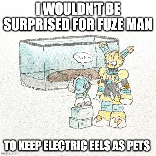 Ice Man and Fuse Man | I WOULDN'T BE SURPRISED FOR FUZE MAN; TO KEEP ELECTRIC EELS AS PETS | image tagged in iceman,fuseman,megaman,memes | made w/ Imgflip meme maker