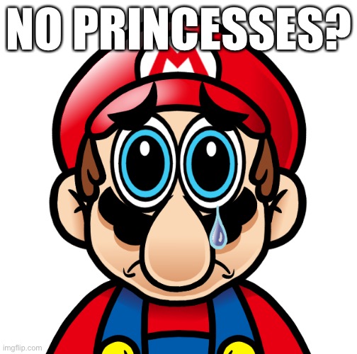 Spunch Bob Mario (Updated) | NO PRINCESSES? | image tagged in spunch bob mario updated | made w/ Imgflip meme maker