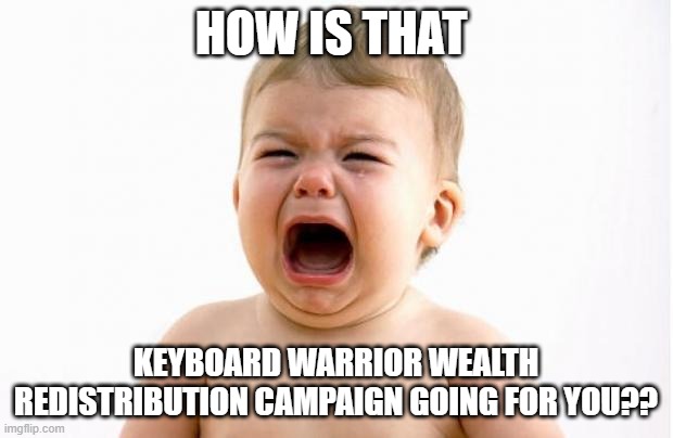 Baby crying  | HOW IS THAT; KEYBOARD WARRIOR WEALTH REDISTRIBUTION CAMPAIGN GOING FOR YOU?? | image tagged in baby crying | made w/ Imgflip meme maker