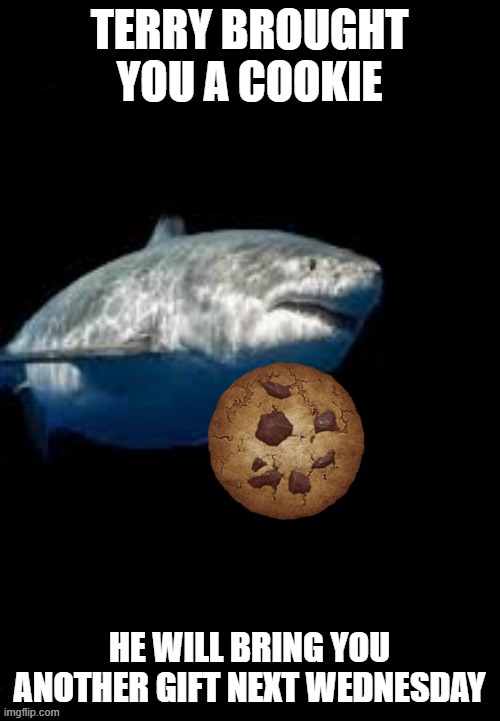 Terry the fat shark template | TERRY BROUGHT YOU A COOKIE HE WILL BRING YOU ANOTHER GIFT NEXT WEDNESDAY | image tagged in terry the fat shark template | made w/ Imgflip meme maker