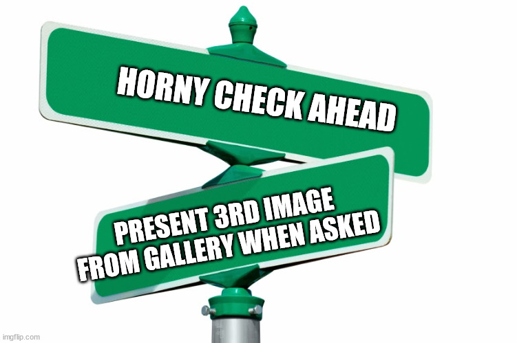 Blank Street Signs | HORNY CHECK AHEAD; PRESENT 3RD IMAGE FROM GALLERY WHEN ASKED | image tagged in blank street signs | made w/ Imgflip meme maker