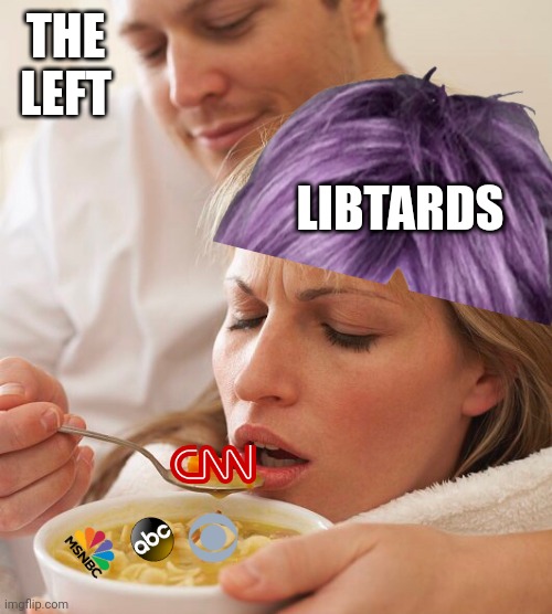 Libtards spoon fed misinformation | THE LEFT; LIBTARDS | image tagged in woman spoon fed soup | made w/ Imgflip meme maker