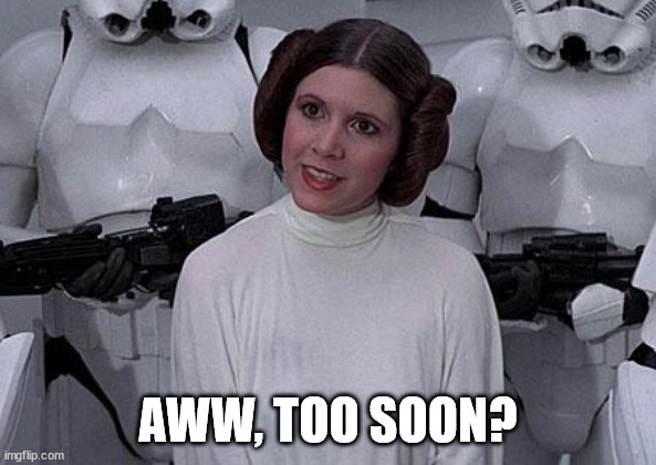 Princess Leia | AWW, TOO SOON? | image tagged in princess leia | made w/ Imgflip meme maker