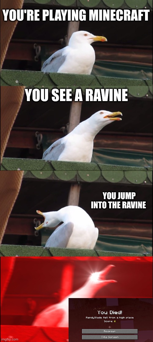 Inhaling Seagull | YOU'RE PLAYING MINECRAFT; YOU SEE A RAVINE; YOU JUMP INTO THE RAVINE | image tagged in memes,inhaling seagull | made w/ Imgflip meme maker