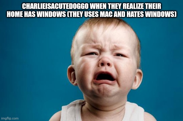 BABY CRYING |  CHARLIEISACUTEDOGGO WHEN THEY REALIZE THEIR HOME HAS WINDOWS (THEY USES MAC AND HATES WINDOWS) | image tagged in baby crying | made w/ Imgflip meme maker