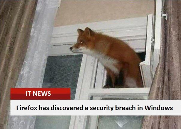 High Quality firefox has discovered a security breach Blank Meme Template