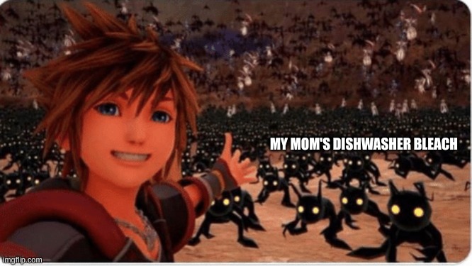 sora showing you X | MY MOM'S DISHWASHER BLEACH | image tagged in sora showing you x | made w/ Imgflip meme maker