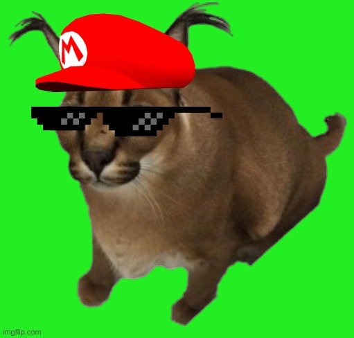 image tagged in flopdlop transparent | made w/ Imgflip meme maker