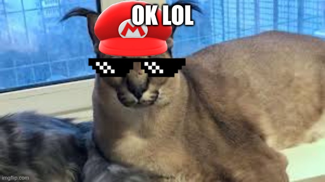 OK LOL | image tagged in flopdlop | made w/ Imgflip meme maker