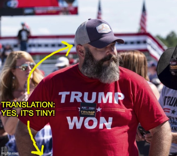 TRANSLATION:
YES, IT'S TINY! | made w/ Imgflip meme maker