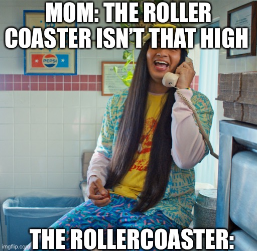 Argyle | MOM: THE ROLLER COASTER ISN’T THAT HIGH; THE ROLLERCOASTER: | image tagged in argyle meme | made w/ Imgflip meme maker
