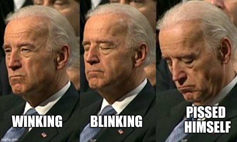 A Day in the Life | PISSED   
HIMSELF; WINKING           BLINKING | image tagged in joe biden sleeping,too easy,just plain comedy,politicians suck,waste of time,waste of money | made w/ Imgflip meme maker