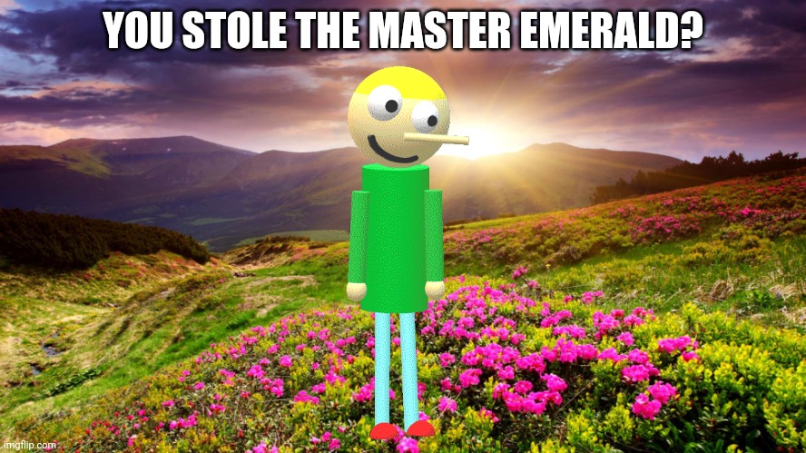 Field of Flowers | YOU STOLE THE MASTER EMERALD? | image tagged in field of flowers | made w/ Imgflip meme maker