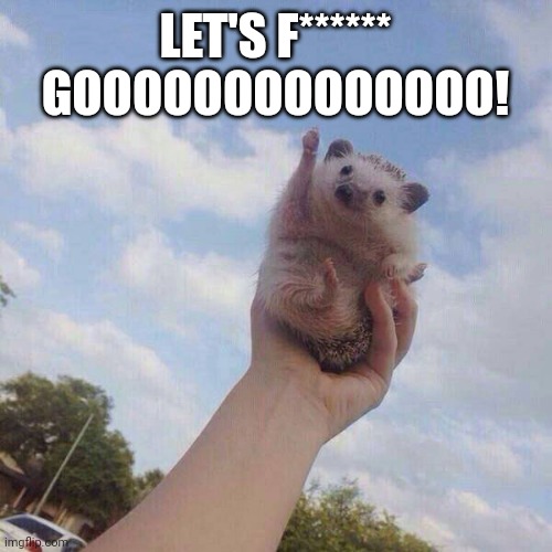 lets go | LET'S F****** GOOOOOOOOOOOOOO! | image tagged in lets go | made w/ Imgflip meme maker