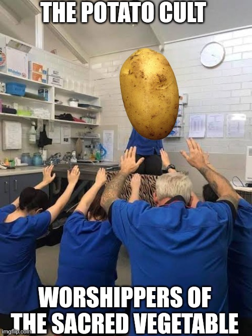 Yes there's a stream for this. (Not mine) I'll give you a link if you want. | THE POTATO CULT; WORSHIPPERS OF THE SACRED VEGETABLE | image tagged in people worshipping the cat | made w/ Imgflip meme maker