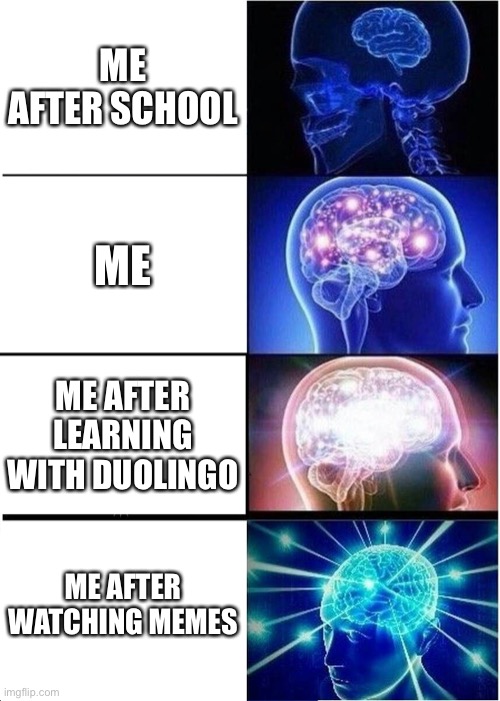 My brain | ME AFTER SCHOOL; ME; ME AFTER LEARNING WITH DUOLINGO; ME AFTER WATCHING MEMES | image tagged in memes,expanding brain | made w/ Imgflip meme maker