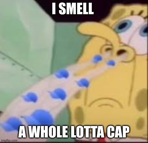 I smell cap | I SMELL A WHOLE LOTTA CAP | image tagged in i smell cap | made w/ Imgflip meme maker