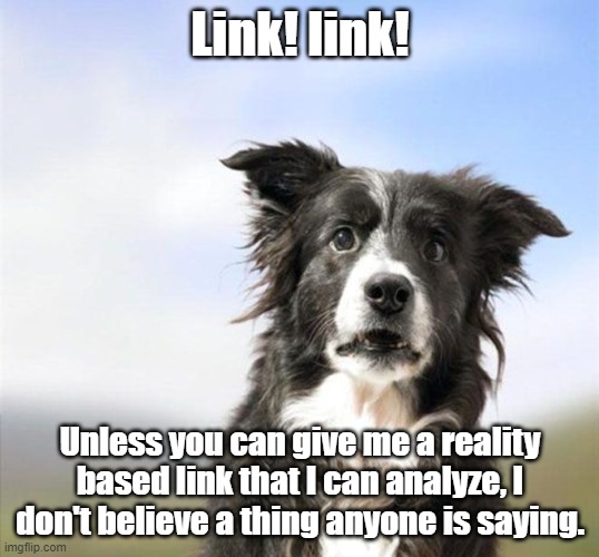 Surprised Border Collie | Link! link! Unless you can give me a reality based link that I can analyze, I don't believe a thing anyone is saying. | image tagged in surprised border collie | made w/ Imgflip meme maker