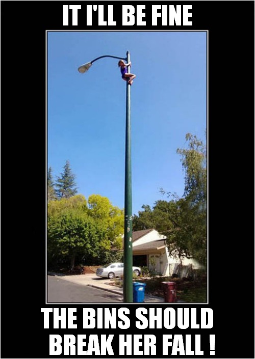 Girl Stuck Up A Pole ! | IT I'LL BE FINE; THE BINS SHOULD   BREAK HER FALL ! | image tagged in girl,stuck,fall,dark humour | made w/ Imgflip meme maker