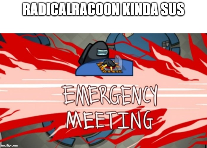 Emergency meeting | RADICALRACOON KINDA SUS | image tagged in emergency meeting | made w/ Imgflip meme maker