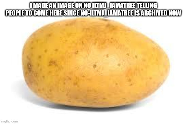 Potato | I MADE AN IMAGE ON NO ILTMJ_IAMATREE TELLING PEOPLE TO COME HERE SINCE NO-ILTMJ_IAMATREE IS ARCHIVED NOW | image tagged in potato | made w/ Imgflip meme maker