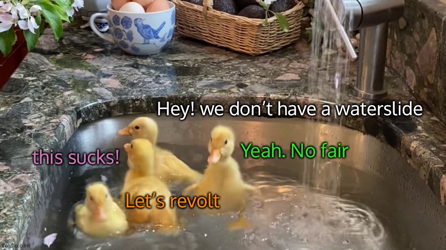Yeah. No fair Hey! we don’t have a waterslide this sucks! Let’s revolt | made w/ Imgflip meme maker