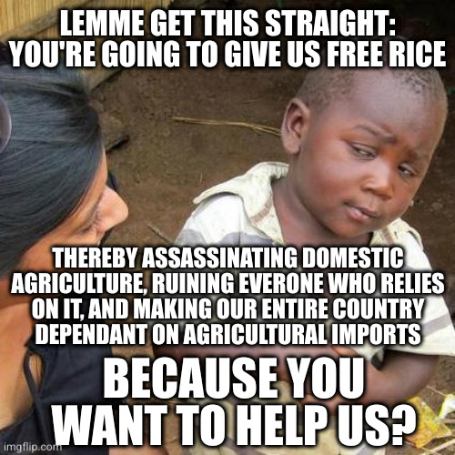 Third World Skeptical Kid Meme | LEMME GET THIS STRAIGHT: YOU'RE GOING TO GIVE US FREE RICE; THEREBY ASSASSINATING DOMESTIC
AGRICULTURE, RUINING EVERONE WHO RELIES
ON IT, AND MAKING OUR ENTIRE COUNTRY
DEPENDANT ON AGRICULTURAL IMPORTS; BECAUSE YOU WANT TO HELP US? | image tagged in memes,third world skeptical kid | made w/ Imgflip meme maker