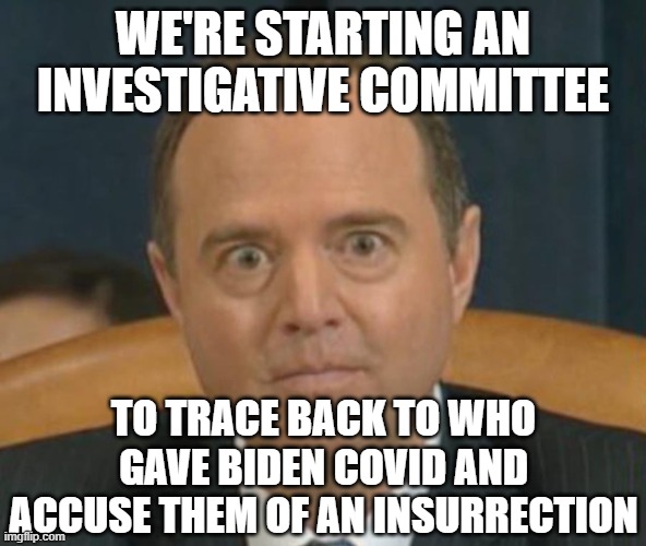 Crazy Adam Schiff | WE'RE STARTING AN INVESTIGATIVE COMMITTEE; TO TRACE BACK TO WHO GAVE BIDEN COVID AND ACCUSE THEM OF AN INSURRECTION | image tagged in crazy adam schiff | made w/ Imgflip meme maker