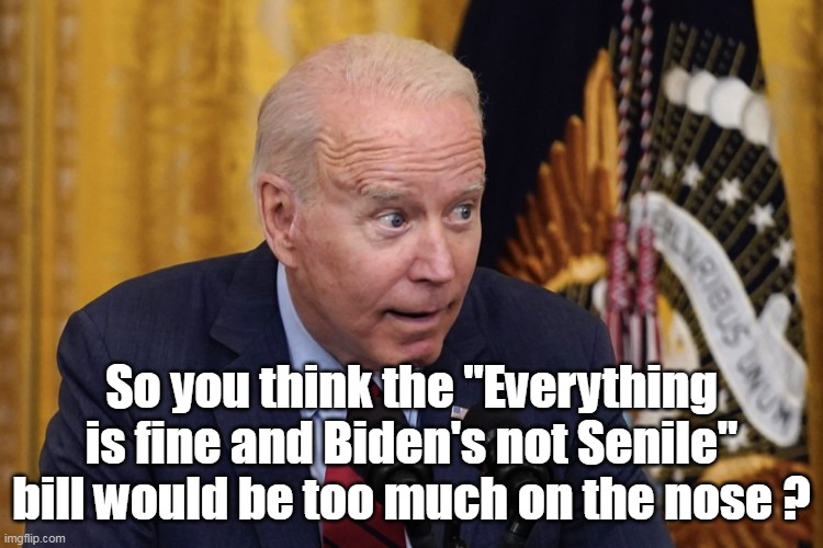 So you think the "Everything is fine and Biden's not Senile" bill would be too much on the nose ? | made w/ Imgflip meme maker