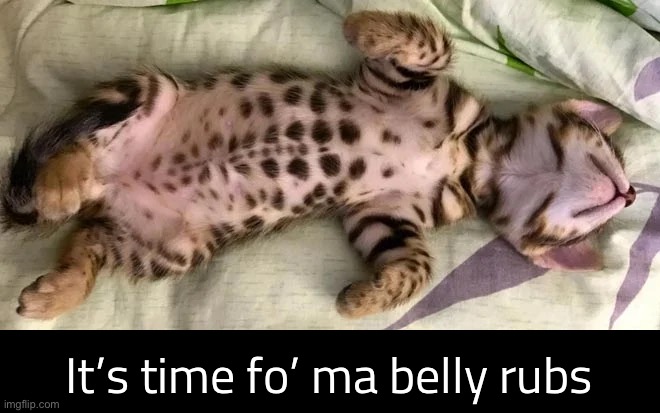 It’s time fo’ ma belly rubs | made w/ Imgflip meme maker