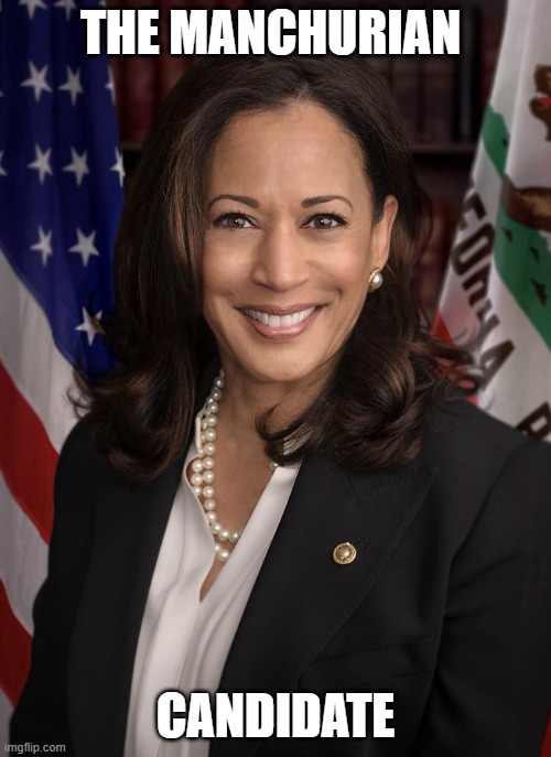 The Next in  Succession to take over string pulling Puppet Joe Biden | THE MANCHURIAN; CANDIDATE | image tagged in kamala harris,california,vice president | made w/ Imgflip meme maker