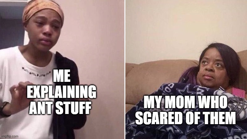 Me explaining to my mom | ME EXPLAINING ANT STUFF; MY MOM WHO SCARED OF THEM | image tagged in me explaining to my mom,antkeeping | made w/ Imgflip meme maker