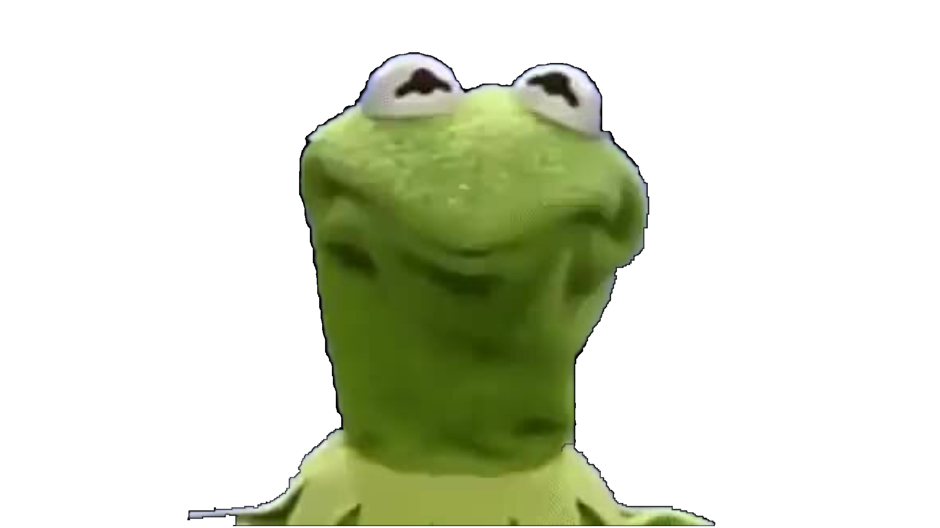High Quality frog face Blank Meme Template