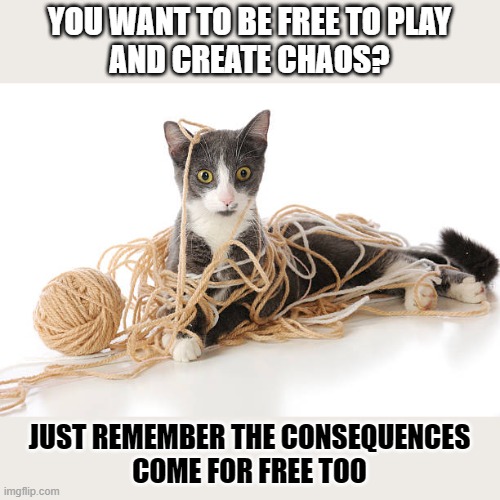 This #lolcat wonders if you really want to be free to face the consequences | YOU WANT TO BE FREE TO PLAY
AND CREATE CHAOS? JUST REMEMBER THE CONSEQUENCES
COME FOR FREE TOO | image tagged in freedom,consequences,think about it,lolcat | made w/ Imgflip meme maker