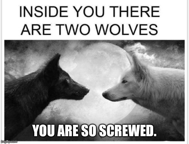 Two wolves | YOU ARE SO SCREWED. | image tagged in sad wolverine left out of party | made w/ Imgflip meme maker