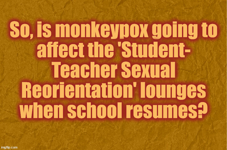 Schoolpox | So, is monkeypox going to
affect the 'Student-
Teacher Sexual
Reorientation' lounges
when school resumes? | image tagged in monkeypox,school,orientation,indoctrination | made w/ Imgflip meme maker