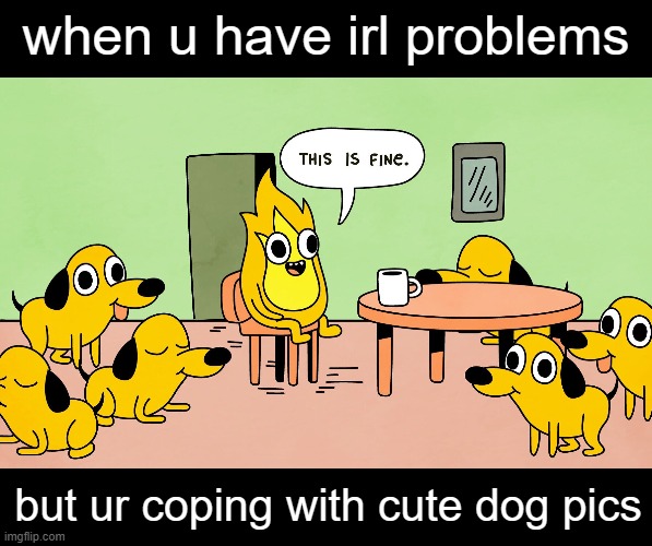 iow im lazy | when u have irl problems; but ur coping with cute dog pics | image tagged in this is fine but reversed | made w/ Imgflip meme maker