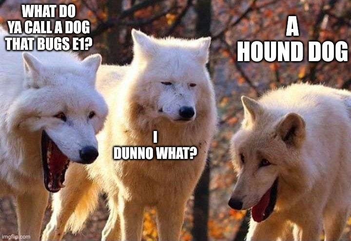 Laughing wolf | WHAT DO YA CALL A DOG THAT BUGS E1? A HOUND DOG; I DUNNO WHAT? | image tagged in laughing wolf | made w/ Imgflip meme maker