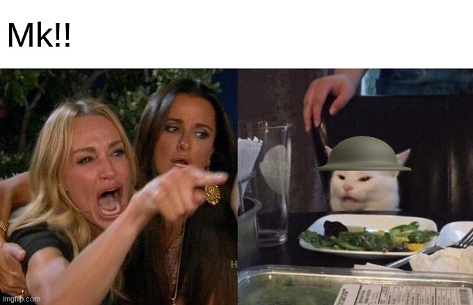 Woman Yelling At Cat Meme | Mk!! | image tagged in memes,woman yelling at cat | made w/ Imgflip meme maker