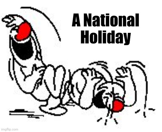 LOL Hysterically | A National       
Holiday | image tagged in lol hysterically | made w/ Imgflip meme maker