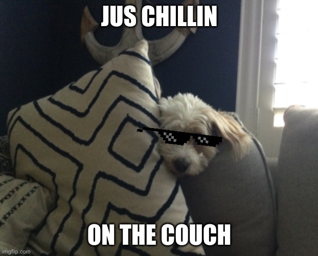ON the couch | JUS CHILLIN; ON THE COUCH | image tagged in doggo | made w/ Imgflip meme maker