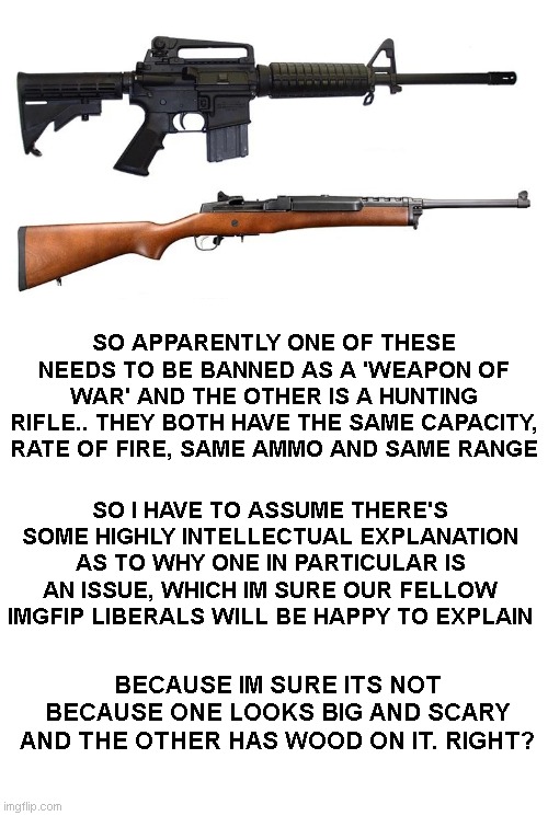 SO APPARENTLY ONE OF THESE NEEDS TO BE BANNED AS A 'WEAPON OF WAR' AND THE OTHER IS A HUNTING RIFLE.. THEY BOTH HAVE THE SAME CAPACITY, RATE OF FIRE, SAME AMMO AND SAME RANGE; SO I HAVE TO ASSUME THERE'S SOME HIGHLY INTELLECTUAL EXPLANATION AS TO WHY ONE IN PARTICULAR IS AN ISSUE, WHICH IM SURE OUR FELLOW IMGFIP LIBERALS WILL BE HAPPY TO EXPLAIN; BECAUSE IM SURE ITS NOT BECAUSE ONE LOOKS BIG AND SCARY AND THE OTHER HAS WOOD ON IT. RIGHT? | image tagged in blank white template | made w/ Imgflip meme maker