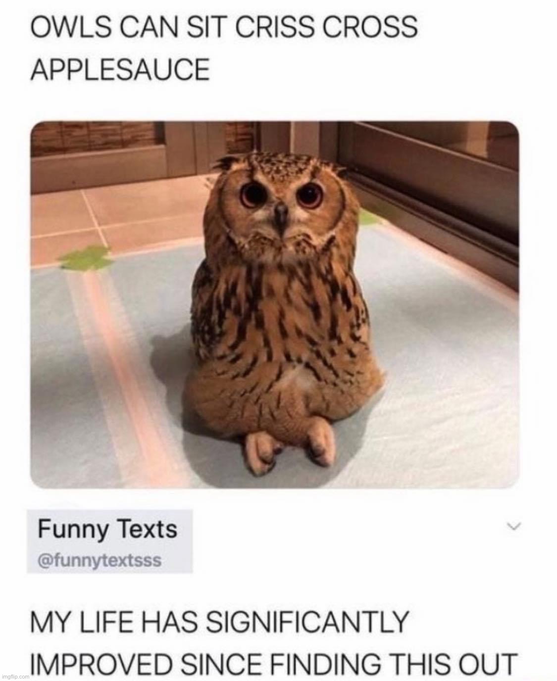Wholesome unsee content | image tagged in owls can sit criss cross applesauce | made w/ Imgflip meme maker