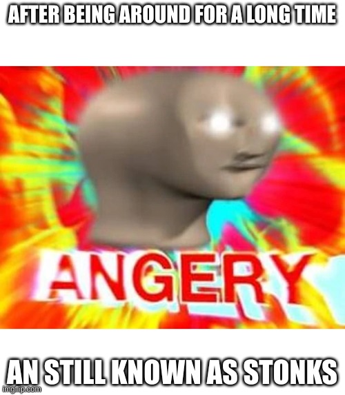 Angry meme man | AFTER BEING AROUND FOR A LONG TIME; AN STILL KNOWN AS STONKS | image tagged in angry meme man | made w/ Imgflip meme maker