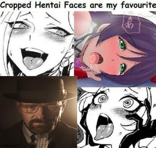 Cropped Hentai Faces are my favourite | image tagged in cropped hentai faces are my favourite | made w/ Imgflip meme maker