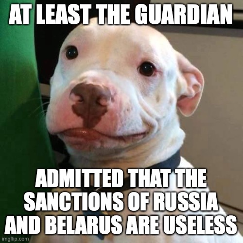 at least dog | AT LEAST THE GUARDIAN ADMITTED THAT THE SANCTIONS OF RUSSIA AND BELARUS ARE USELESS | image tagged in at least dog | made w/ Imgflip meme maker