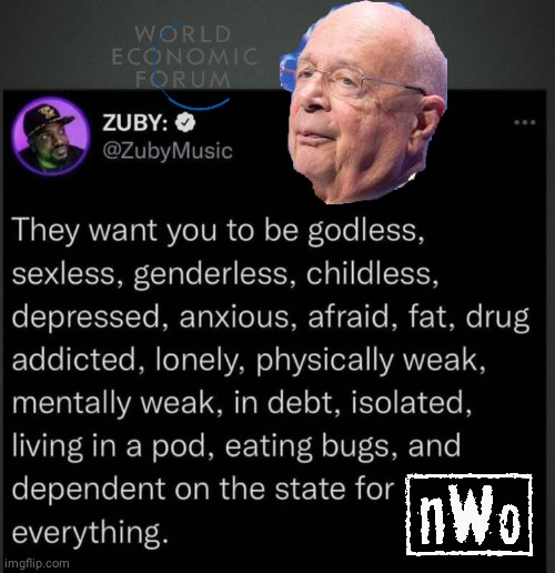 WEF what Schwab wants for you | image tagged in nwo | made w/ Imgflip meme maker