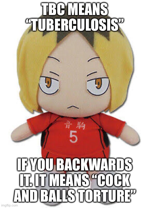 cbt | TBC MEANS “TUBERCULOSIS”; IF YOU BACKWARDS IT. IT MEANS “COCK AND BALLS TORTURE” | image tagged in chonk kenma | made w/ Imgflip meme maker